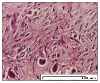 Pharmaceuticals 14 01146 i035 Pharmaceuticals 14 01146 i035