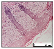 Pharmaceuticals 14 01146 i036 Pharmaceuticals 14 01146 i036