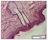 Pharmaceuticals 14 01146 i037 Pharmaceuticals 14 01146 i037