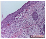 Pharmaceuticals 14 01146 i038 Pharmaceuticals 14 01146 i038