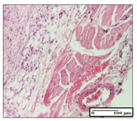 Pharmaceuticals 14 01146 i039 Pharmaceuticals 14 01146 i039