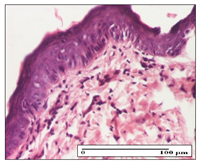 Pharmaceuticals 14 01146 i040 Pharmaceuticals 14 01146 i040