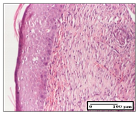 Pharmaceuticals 14 01146 i041 Pharmaceuticals 14 01146 i041