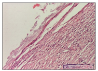 Pharmaceuticals 14 01146 i044 Pharmaceuticals 14 01146 i044