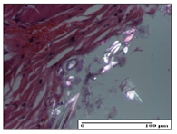 Pharmaceuticals 14 01146 i045 Pharmaceuticals 14 01146 i045