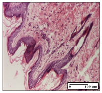 Pharmaceuticals 14 01146 i046 Pharmaceuticals 14 01146 i046
