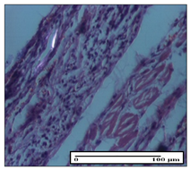 Pharmaceuticals 14 01146 i047 Pharmaceuticals 14 01146 i047