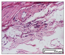 Pharmaceuticals 14 01146 i048 Pharmaceuticals 14 01146 i048