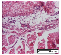 Pharmaceuticals 14 01146 i049 Pharmaceuticals 14 01146 i049