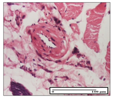 Pharmaceuticals 14 01146 i051 Pharmaceuticals 14 01146 i051