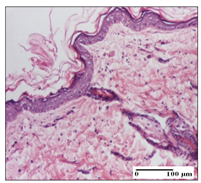 Pharmaceuticals 14 01146 i052 Pharmaceuticals 14 01146 i052