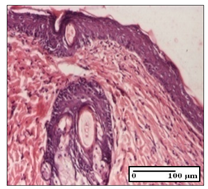 Pharmaceuticals 14 01146 i053 Pharmaceuticals 14 01146 i053