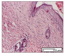 Pharmaceuticals 14 01146 i054 Pharmaceuticals 14 01146 i054