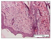 Pharmaceuticals 14 01146 i055 Pharmaceuticals 14 01146 i055