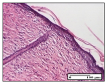 Pharmaceuticals 14 01146 i056 Pharmaceuticals 14 01146 i056