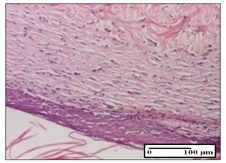 Pharmaceuticals 14 01146 i057 Pharmaceuticals 14 01146 i057