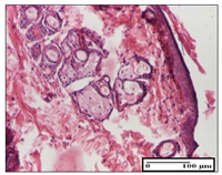 Pharmaceuticals 14 01146 i058 Pharmaceuticals 14 01146 i058