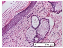 Pharmaceuticals 14 01146 i059 Pharmaceuticals 14 01146 i059