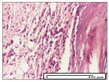 Pharmaceuticals 14 01146 i060 Pharmaceuticals 14 01146 i060