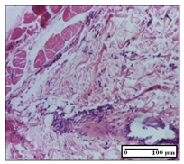 Pharmaceuticals 14 01146 i061 Pharmaceuticals 14 01146 i061