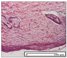 Pharmaceuticals 14 01146 i063 Pharmaceuticals 14 01146 i063