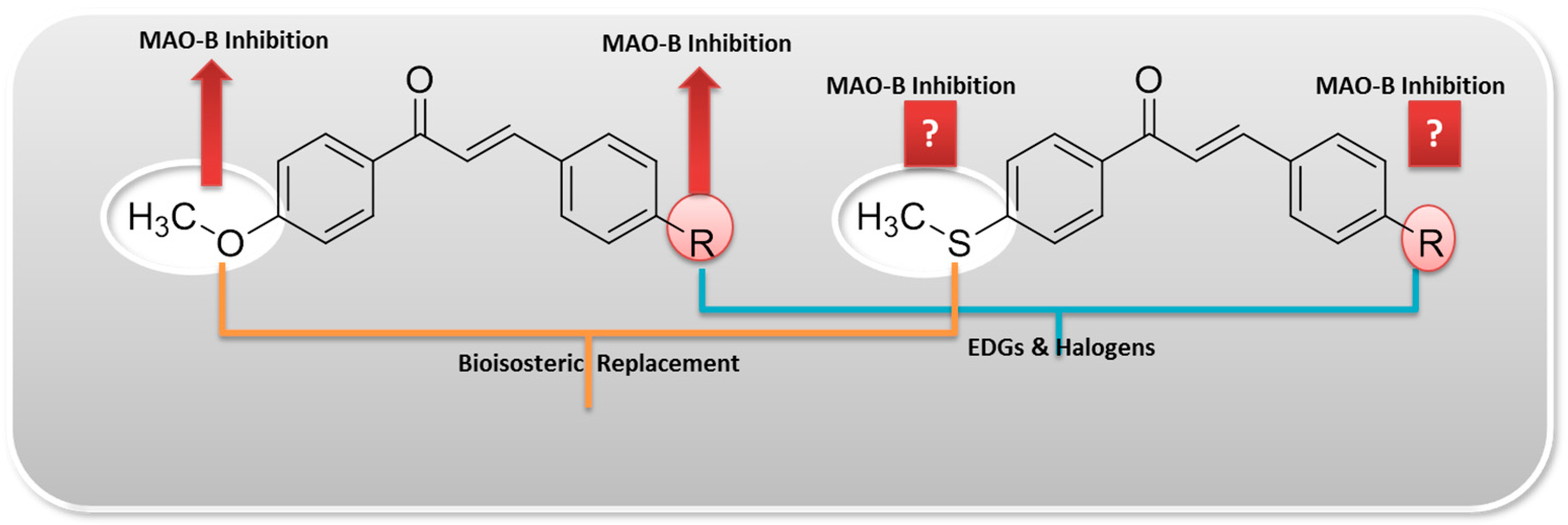 Pharmaceuticals 14 01148 g001 Pharmaceuticals 14 01148 g001
