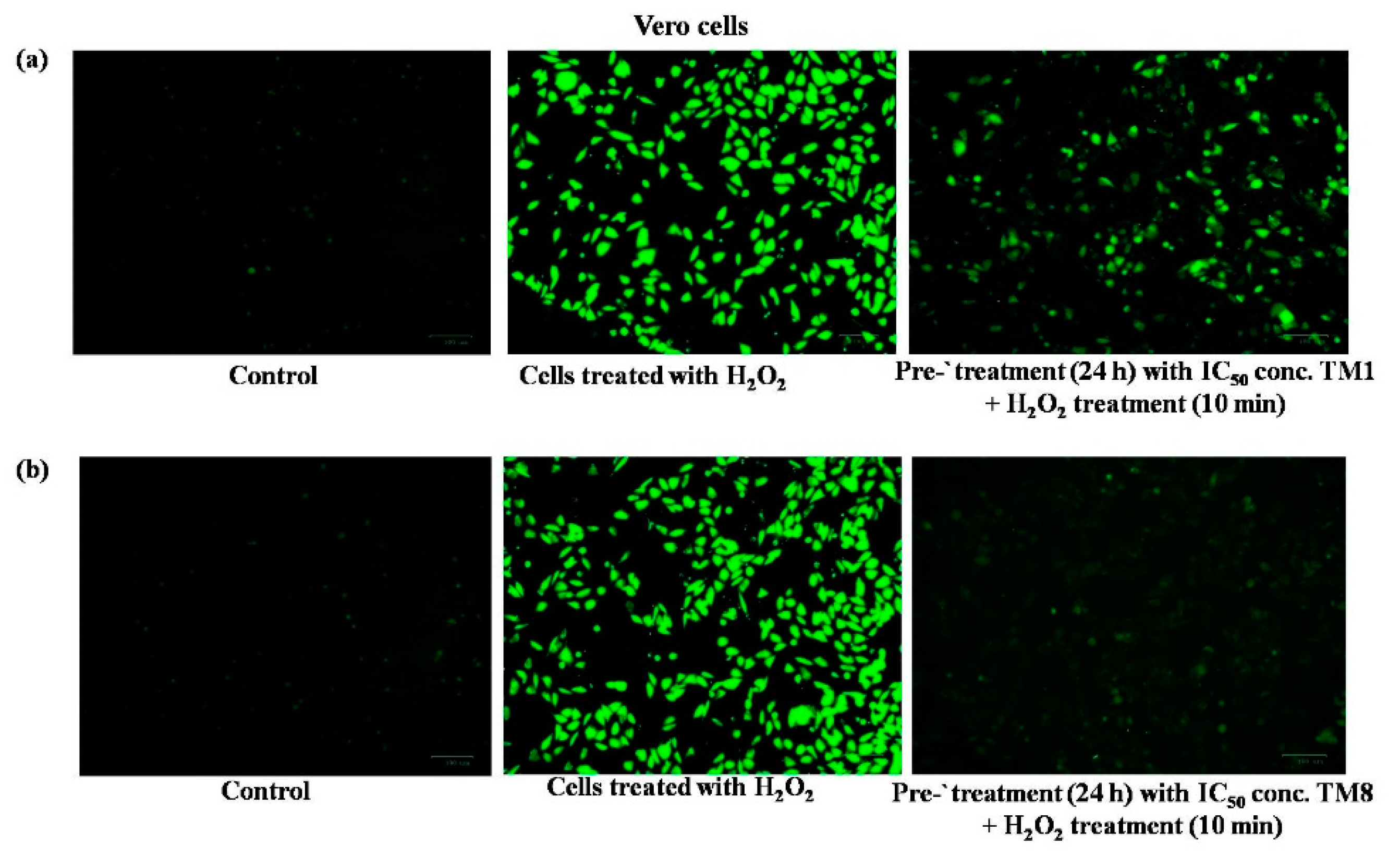 Pharmaceuticals 14 01148 g006 Pharmaceuticals 14 01148 g006