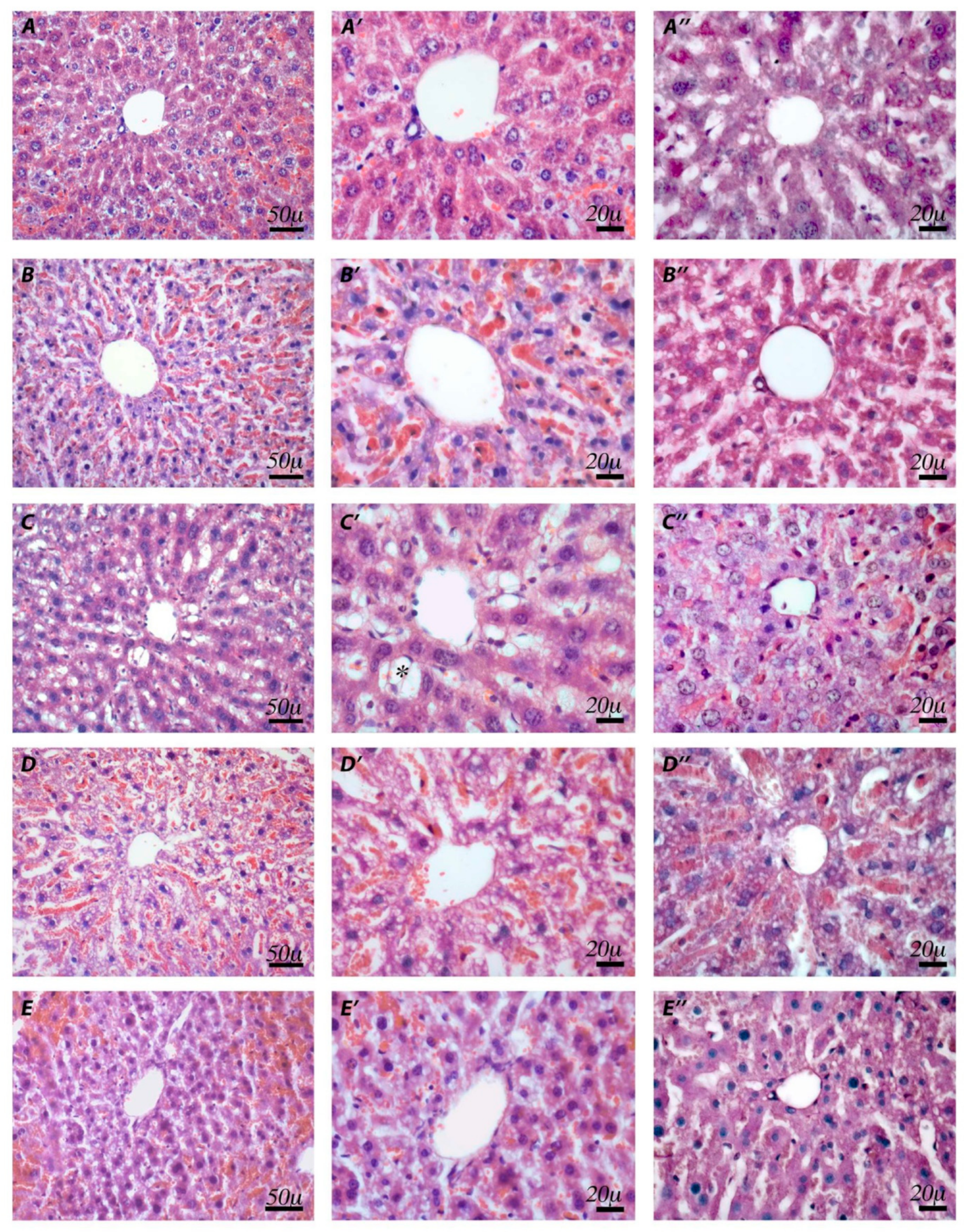 Pharmaceuticals 14 01149 g008