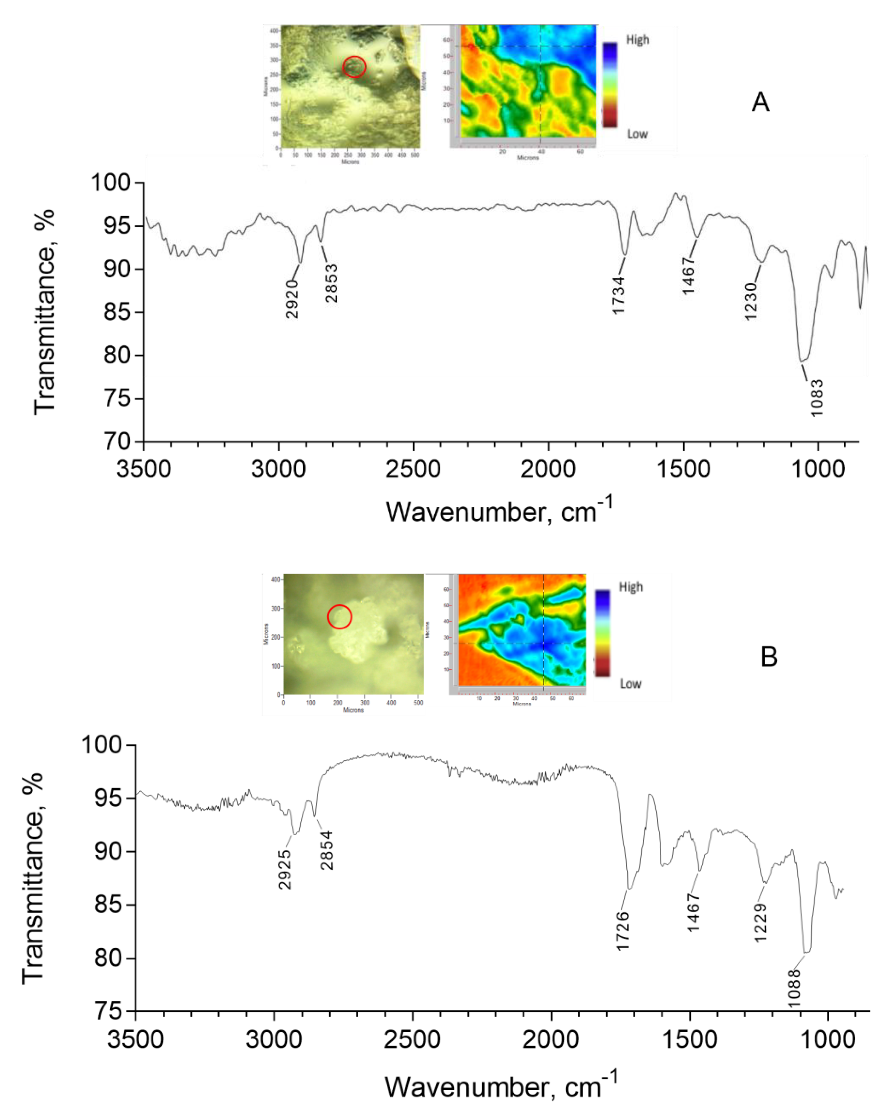 Pharmaceuticals 14 01151 g003