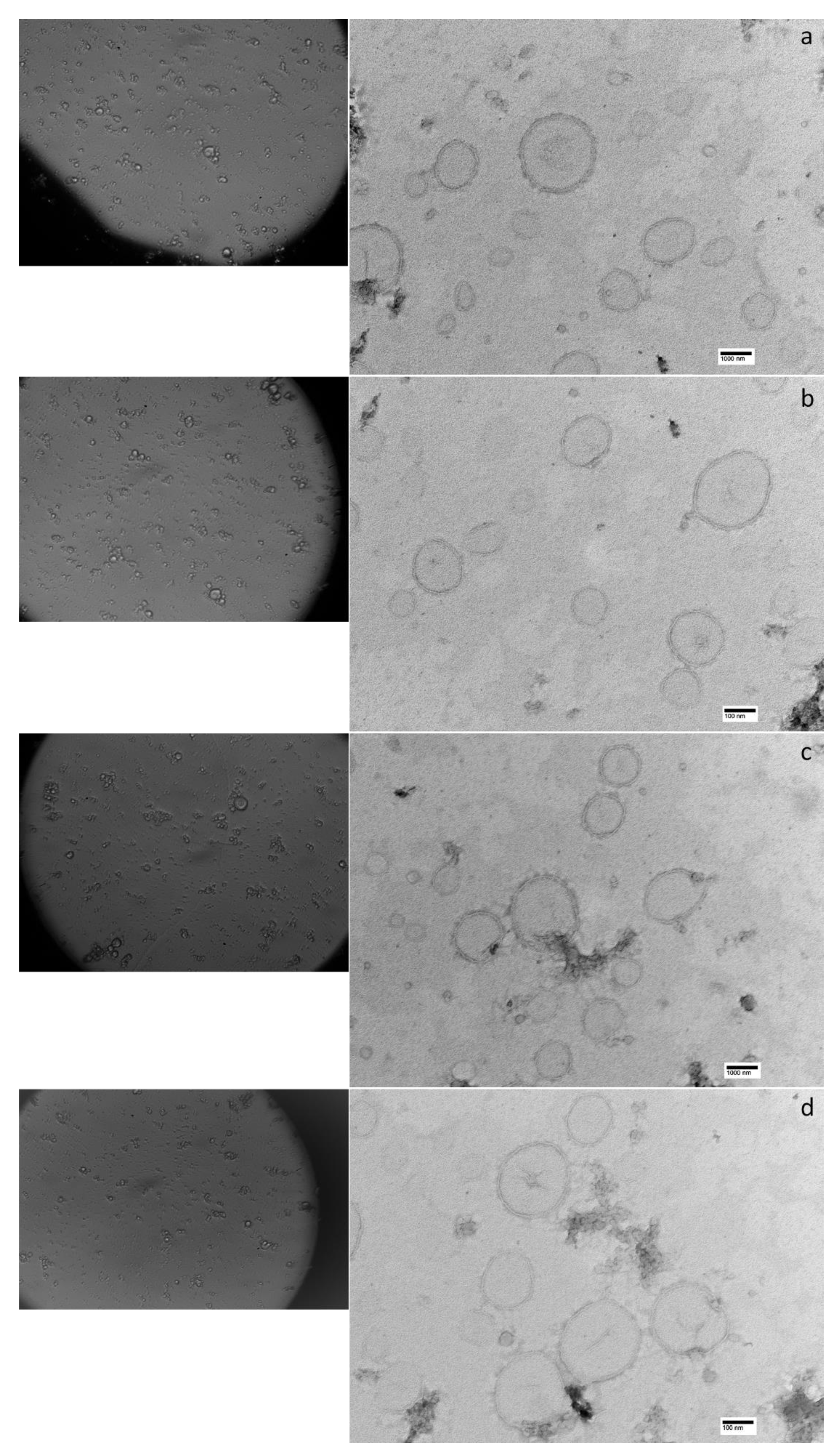 Pharmaceuticals 14 01151 g004