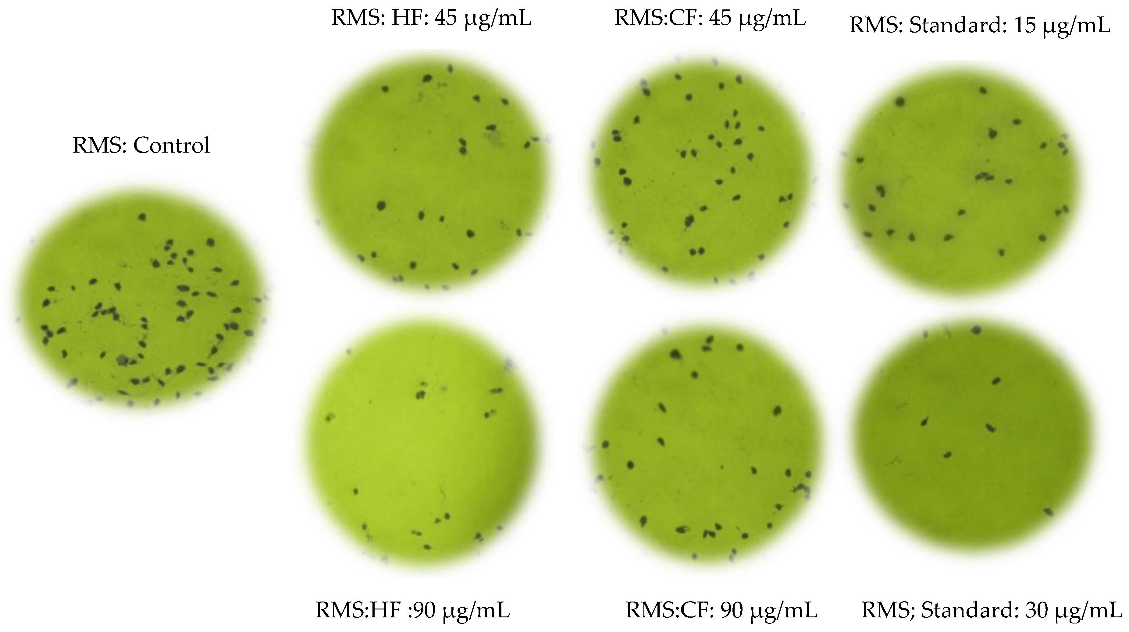 Pharmaceuticals 14 01154 g002 550