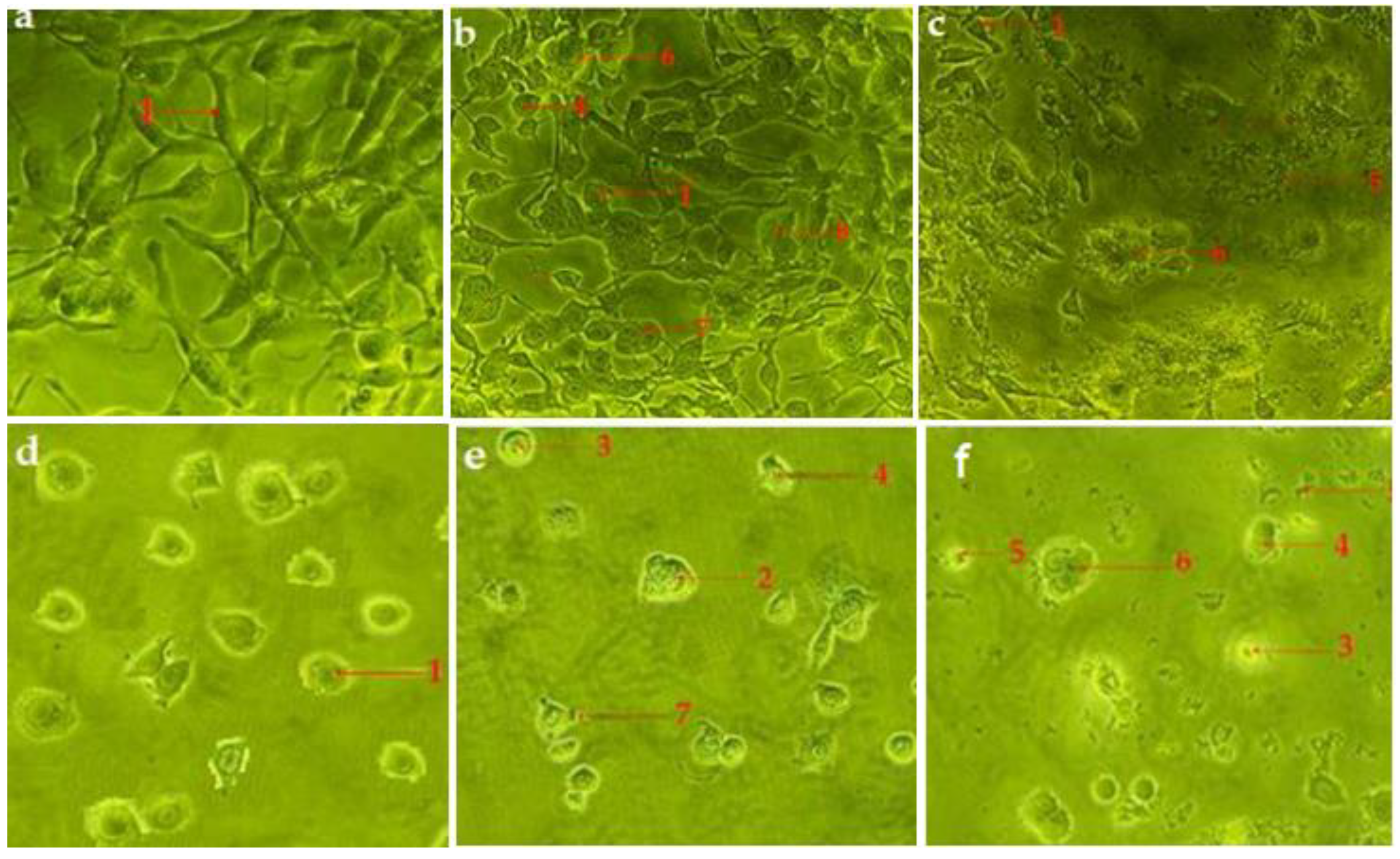 Pharmaceuticals 14 01154 g004 550