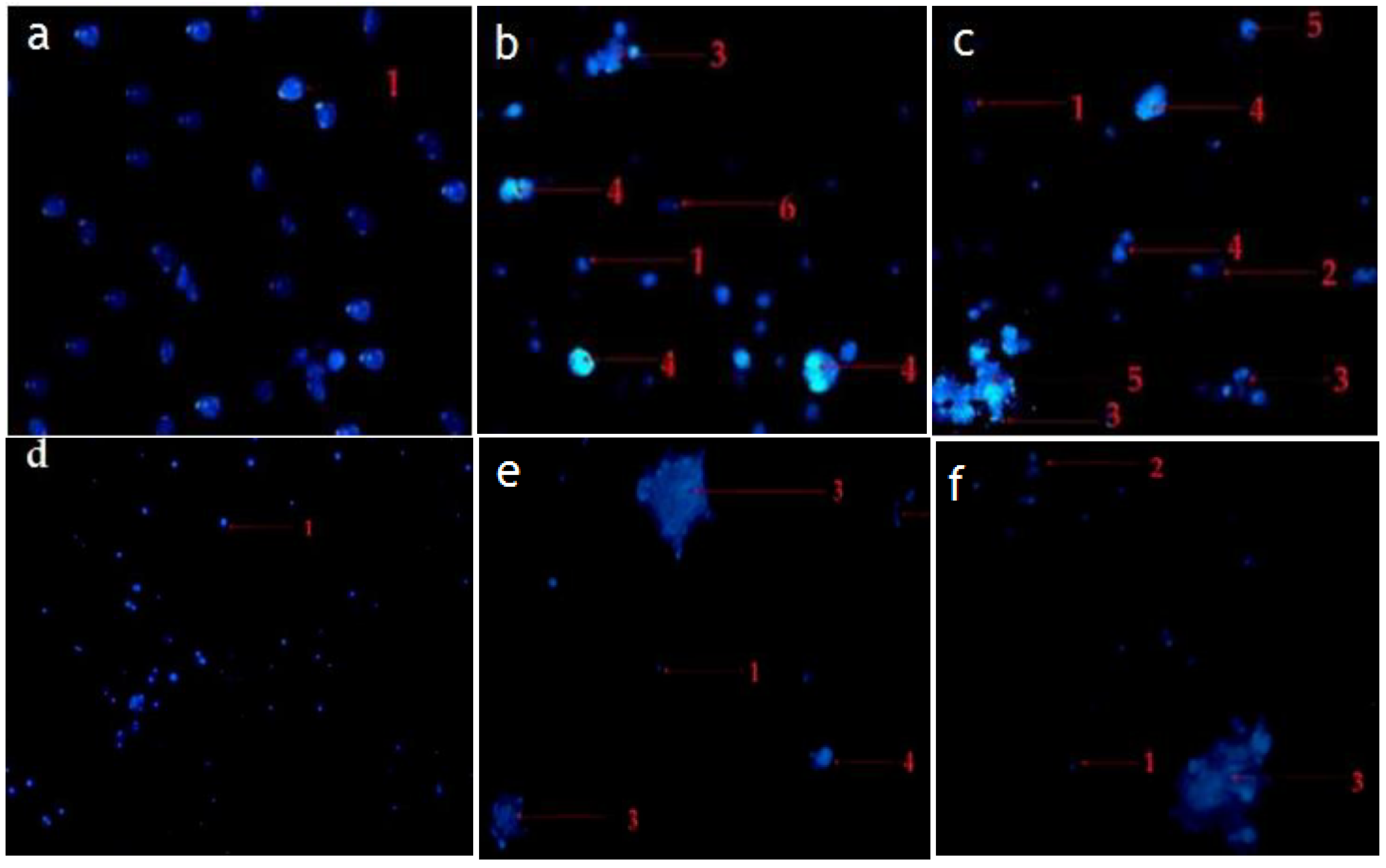 Pharmaceuticals 14 01154 g007 550