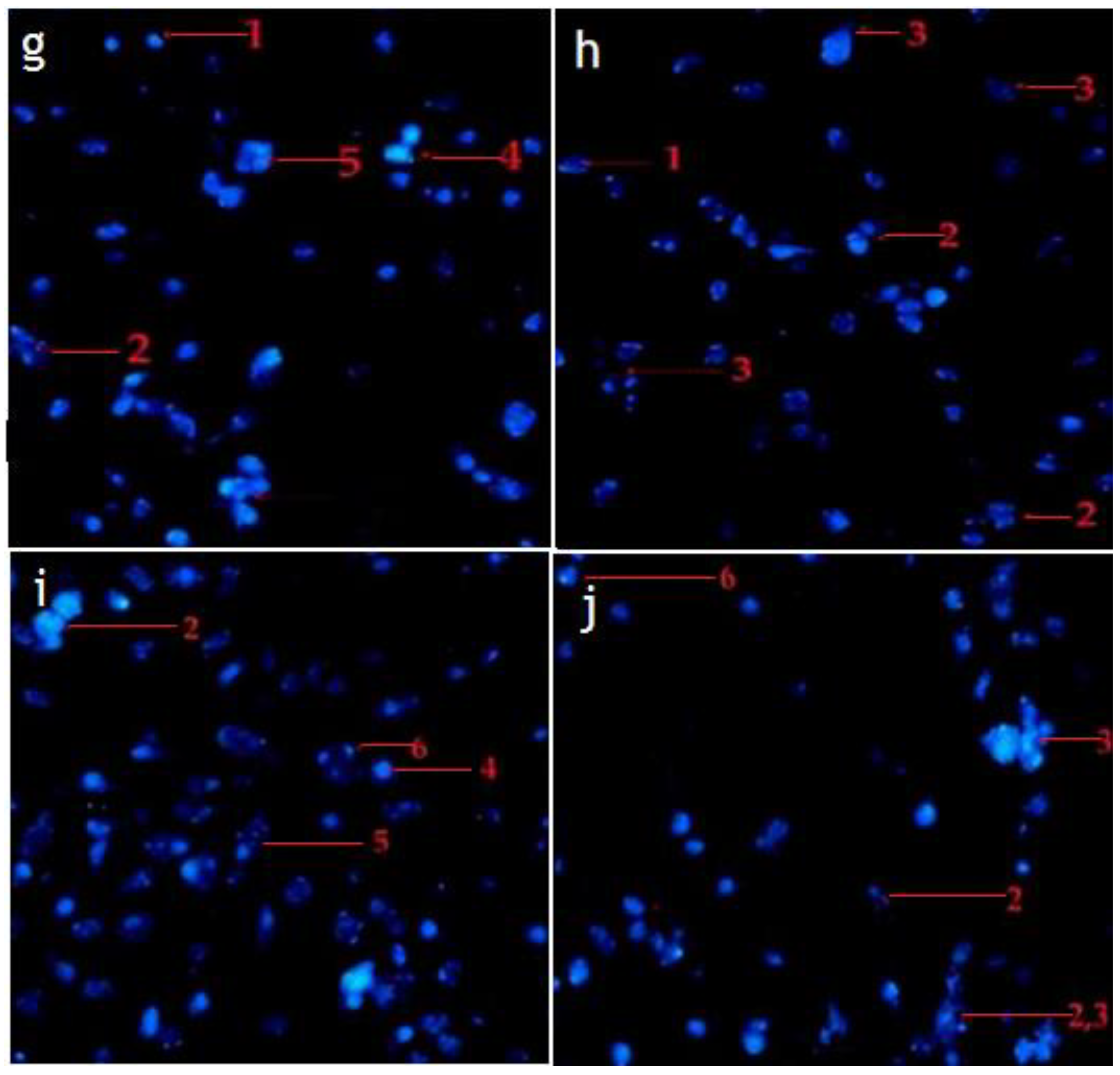 Pharmaceuticals 14 01154 g008 550