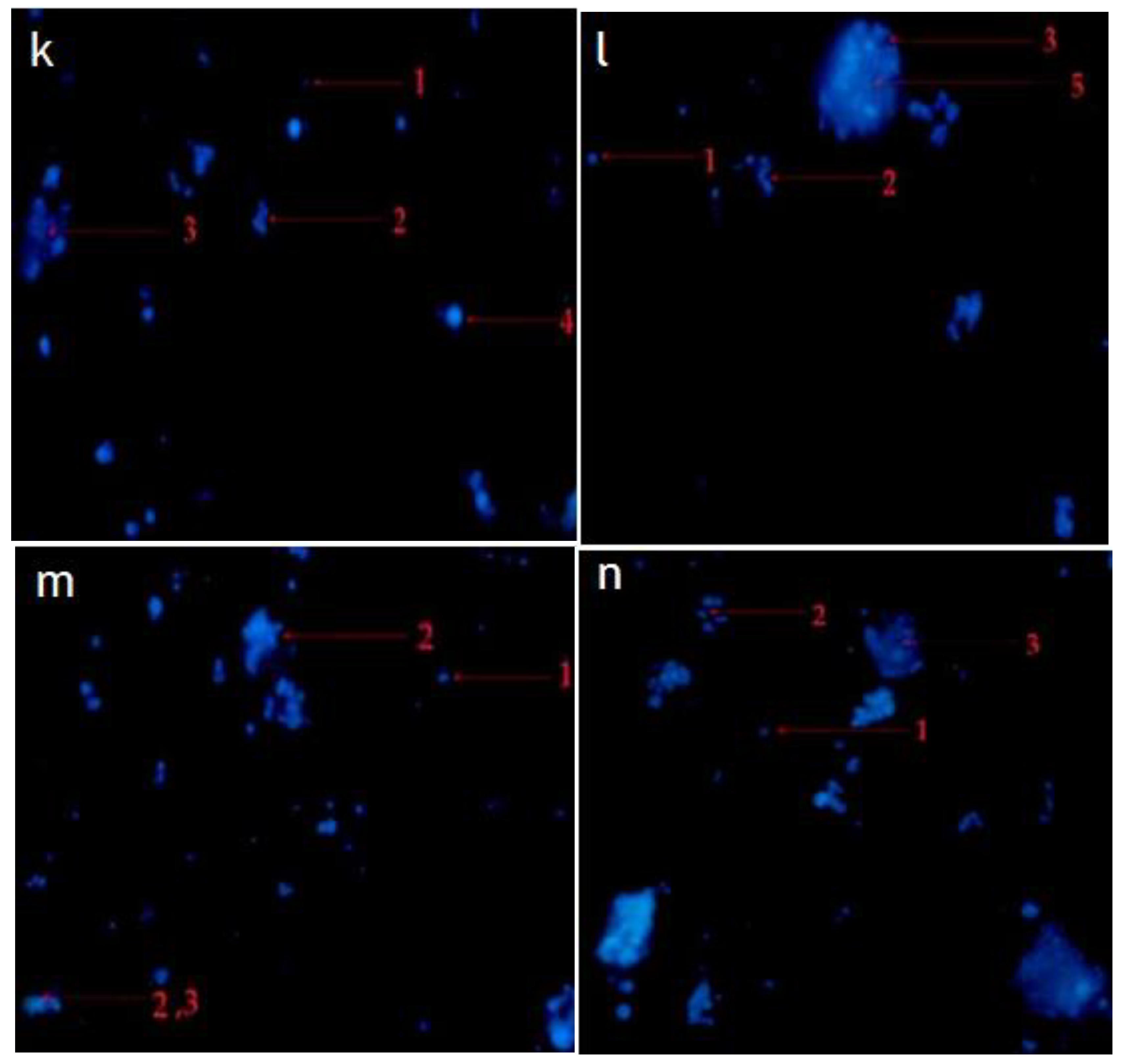 Pharmaceuticals 14 01154 g009 550