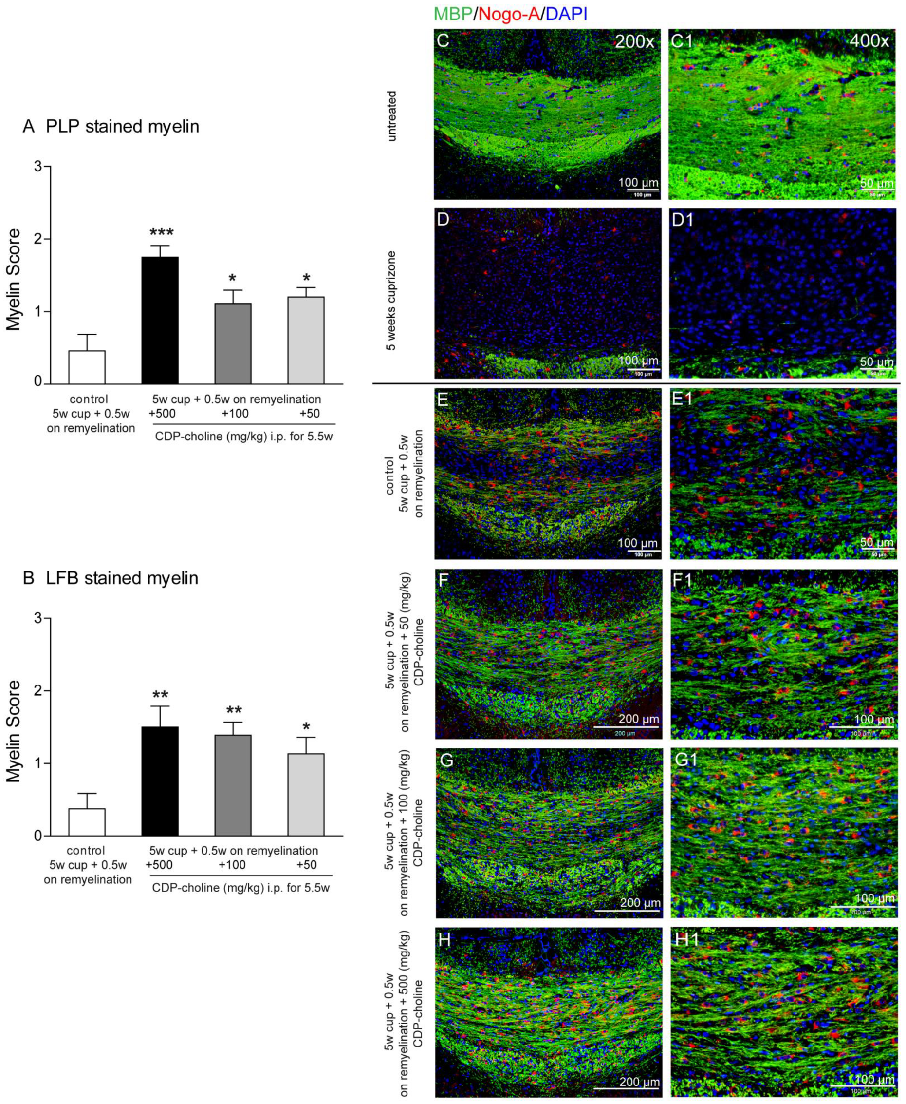 Pharmaceuticals 14 01156 g001