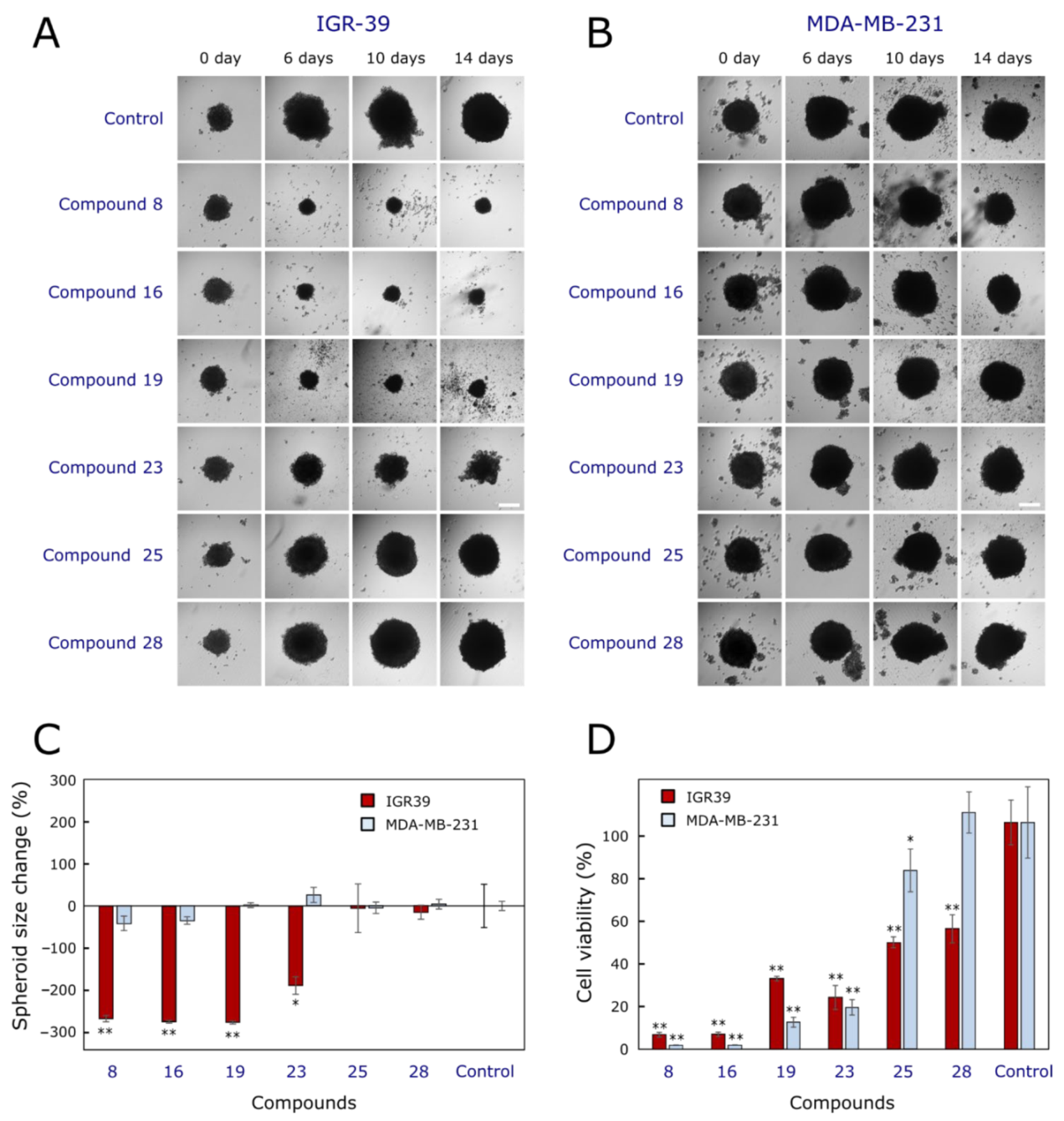 Pharmaceuticals 14 01158 g005