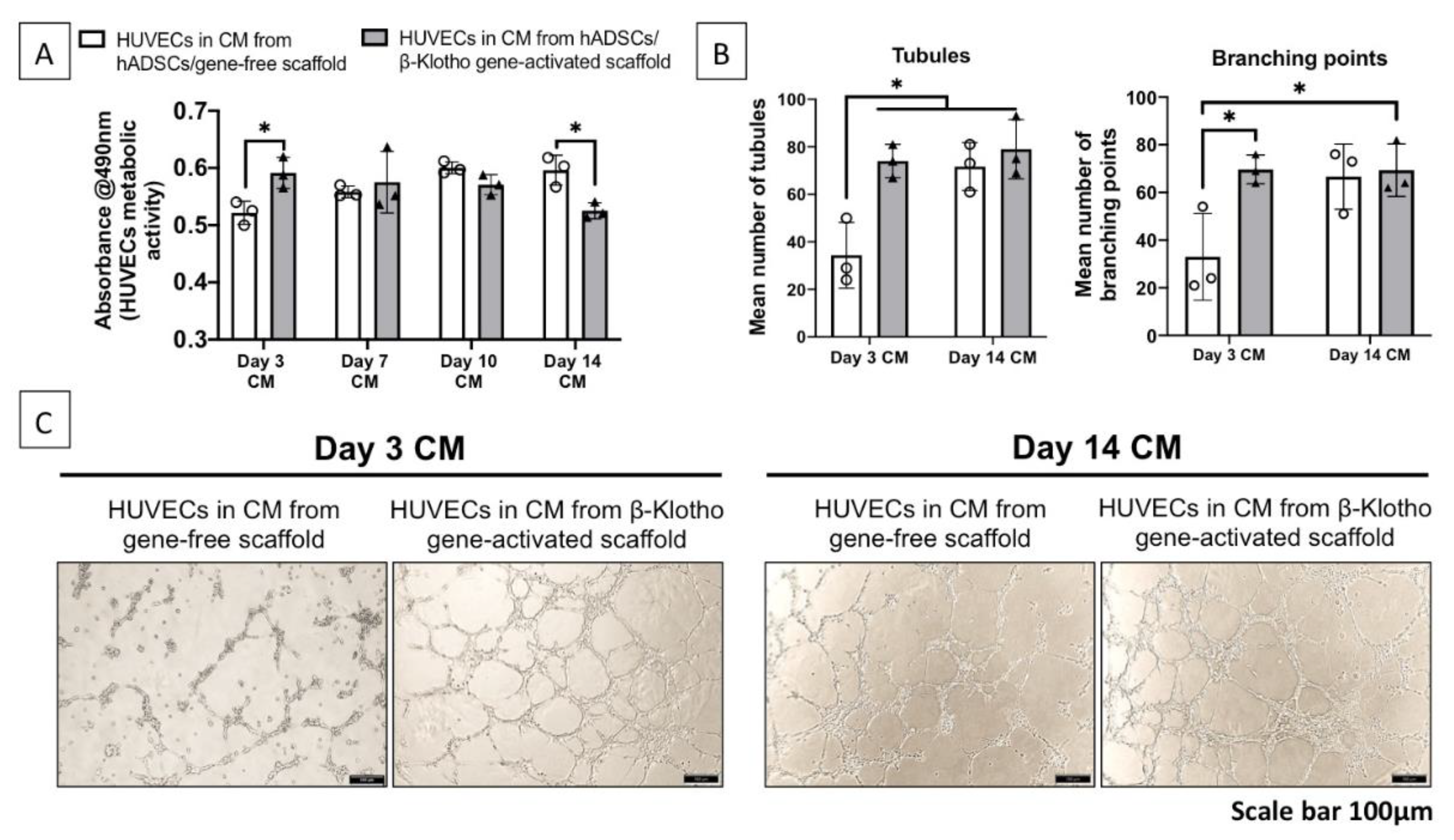Pharmaceuticals 14 01168 g002 Pharmaceuticals 14 01168 g002