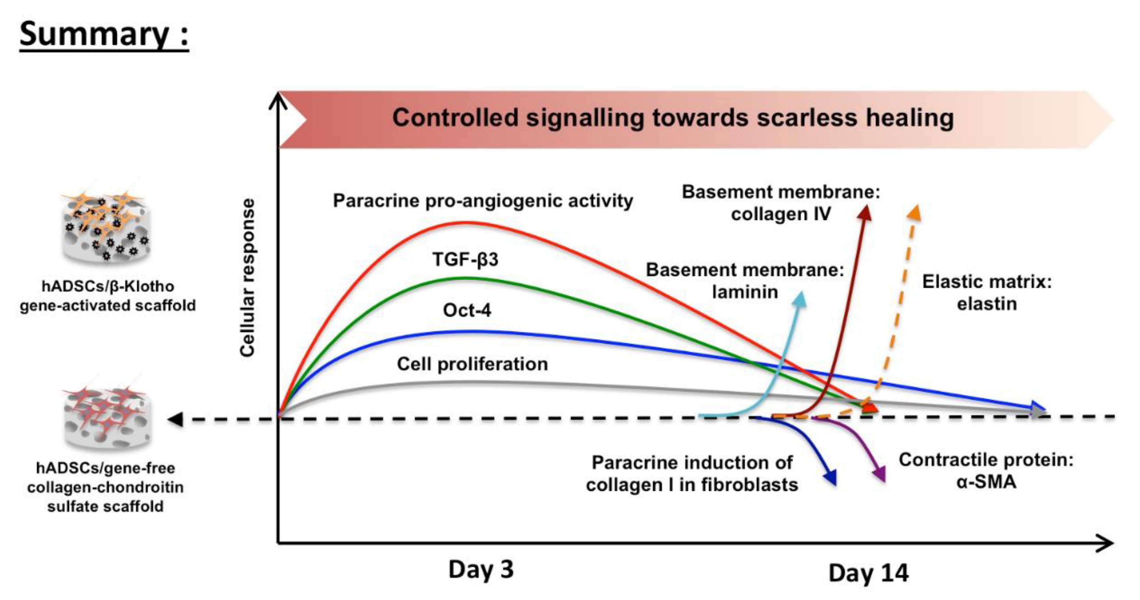 Pharmaceuticals 14 01168 g005 Pharmaceuticals 14 01168 g005