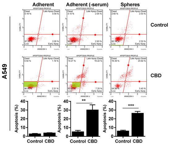 Cannabidiol Induces Cell Death in Human Lung Cancer Cells and Cancer ...