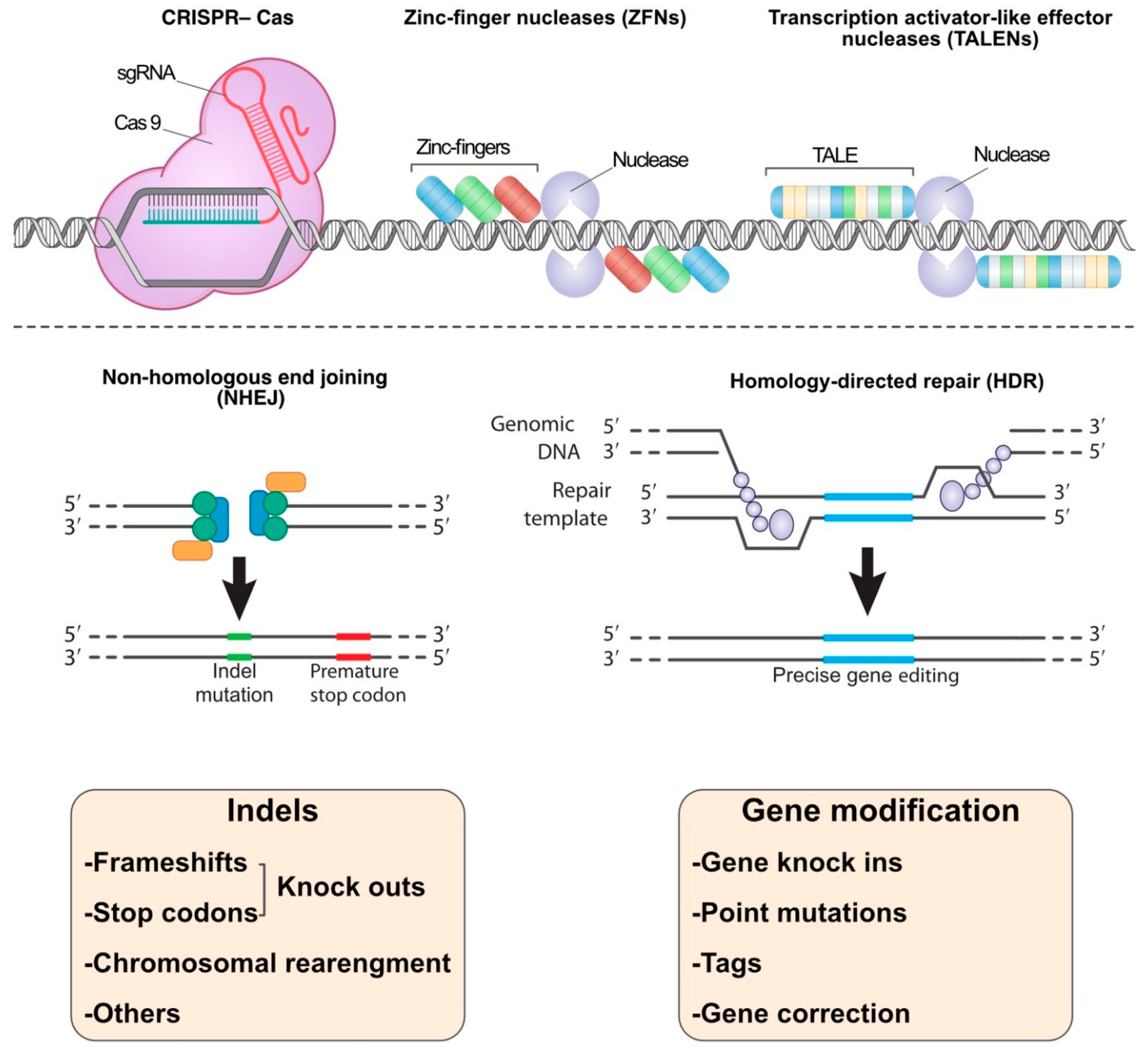 Pharmaceuticals 14 01171 g001 550