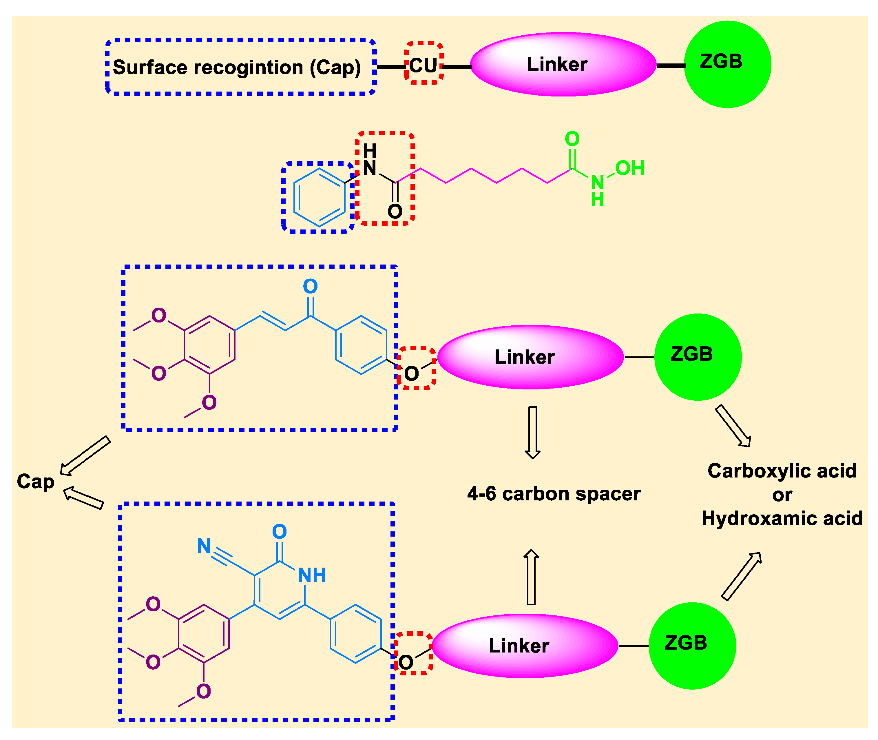 Pharmaceuticals 14 01177 g003 Pharmaceuticals 14 01177 g003