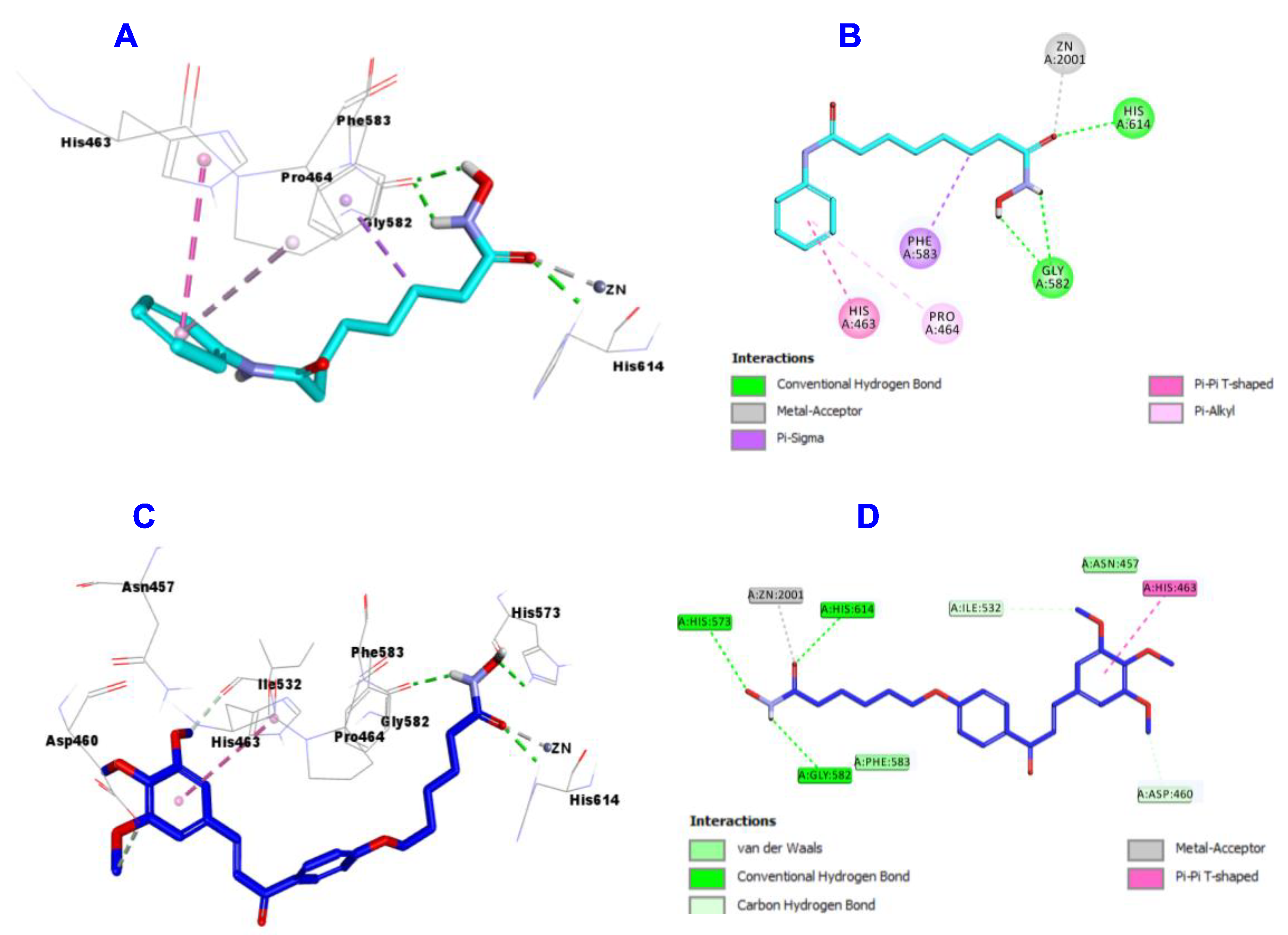 Pharmaceuticals 14 01177 g010 Pharmaceuticals 14 01177 g010