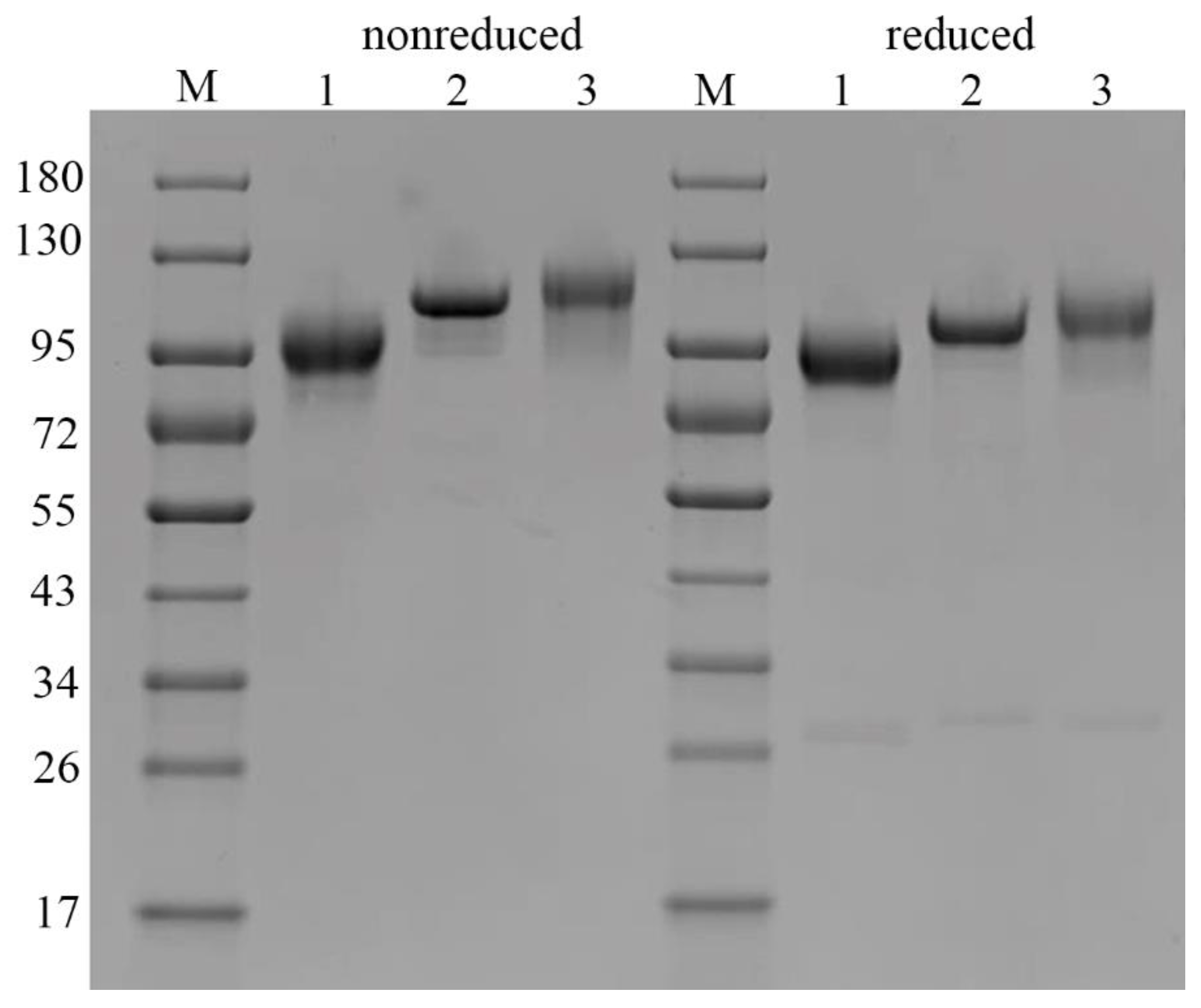 Pharmaceuticals 14 01180 g004