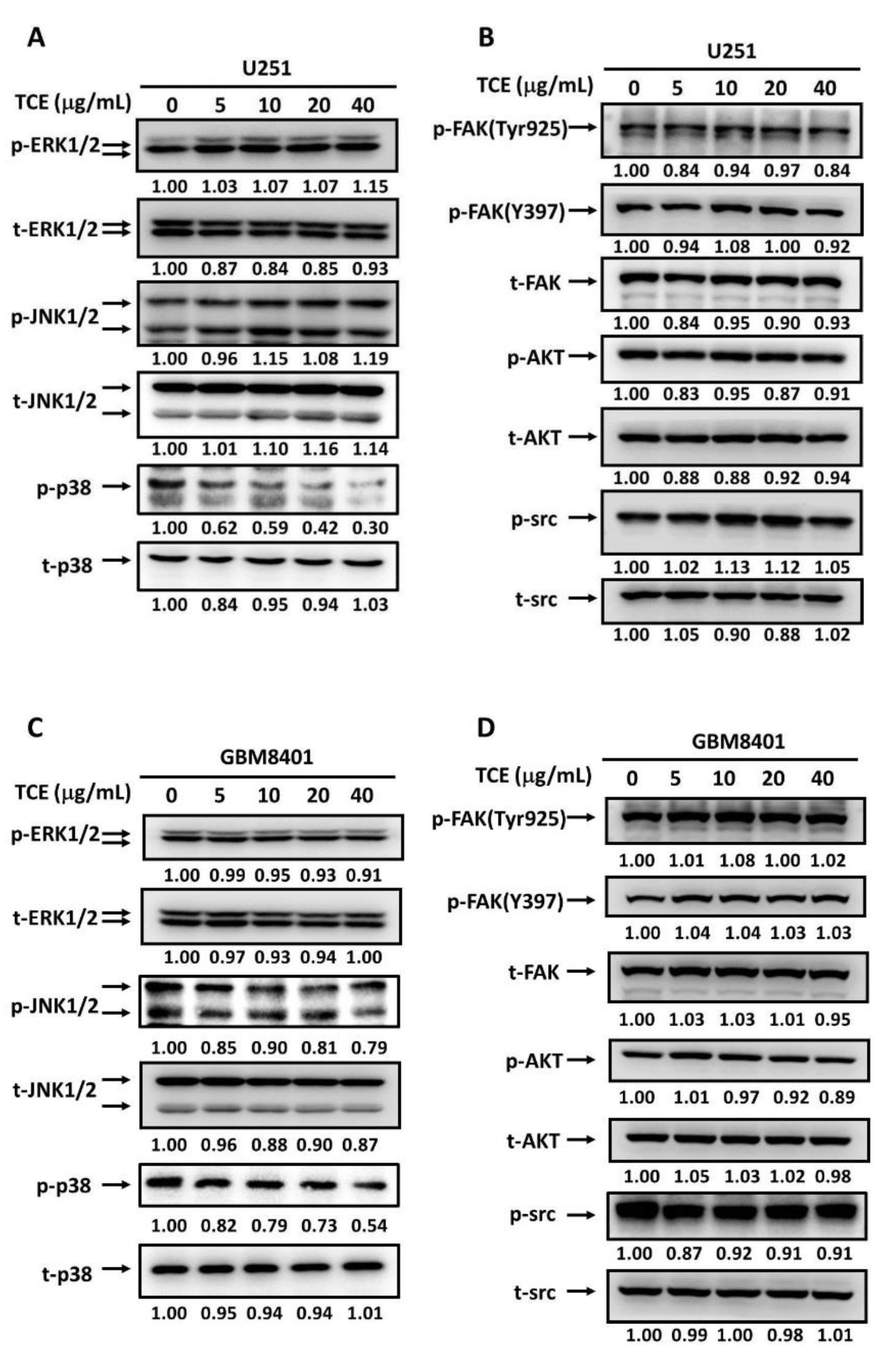 Pharmaceuticals 14 01183 g004 Pharmaceuticals 14 01183 g004