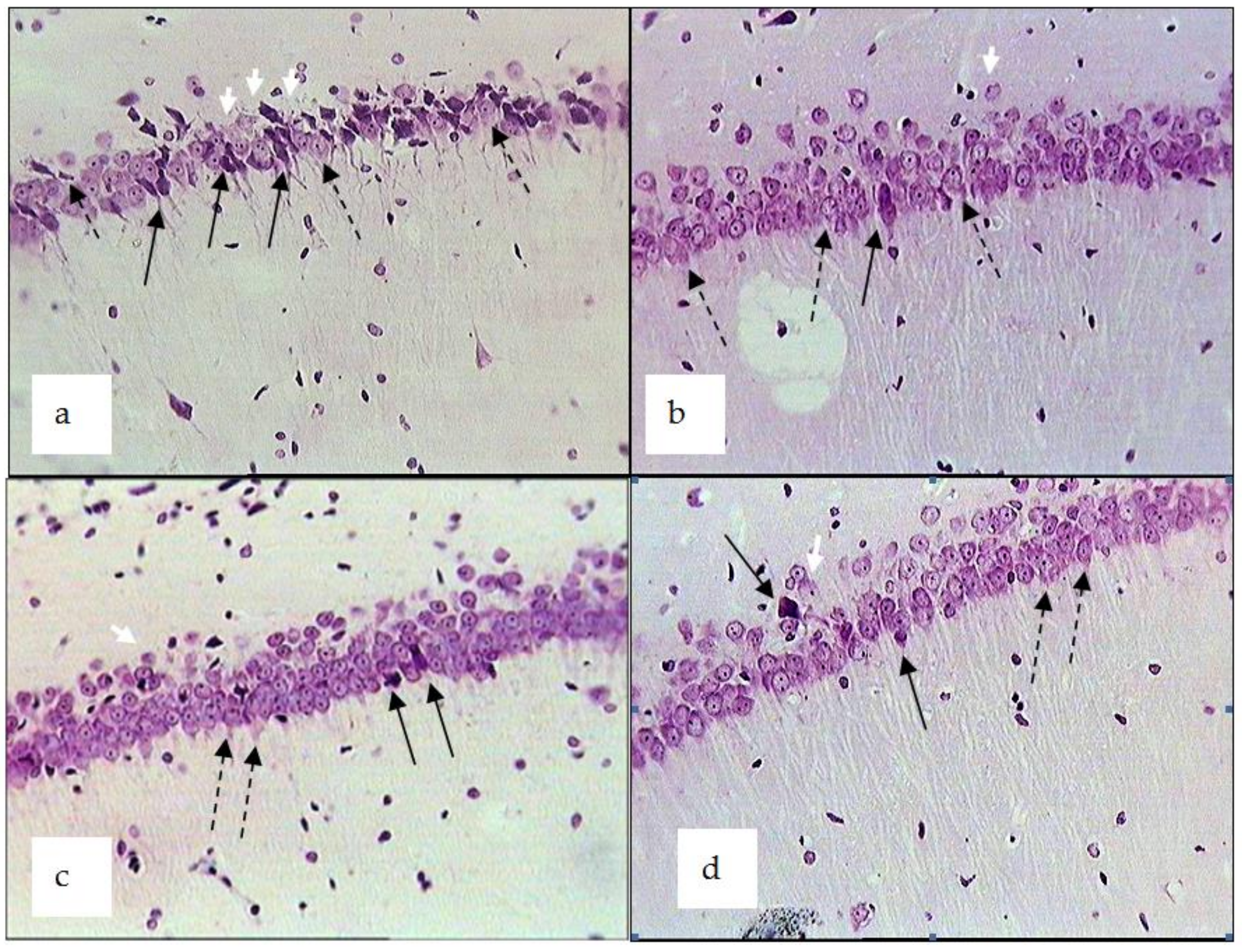 Pharmaceuticals 14 01186 g007