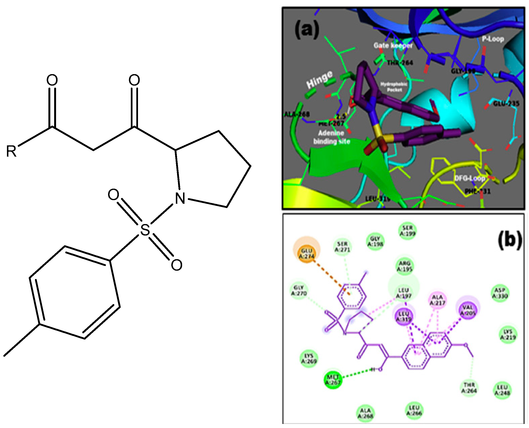Pharmaceuticals 14 01189 g007b