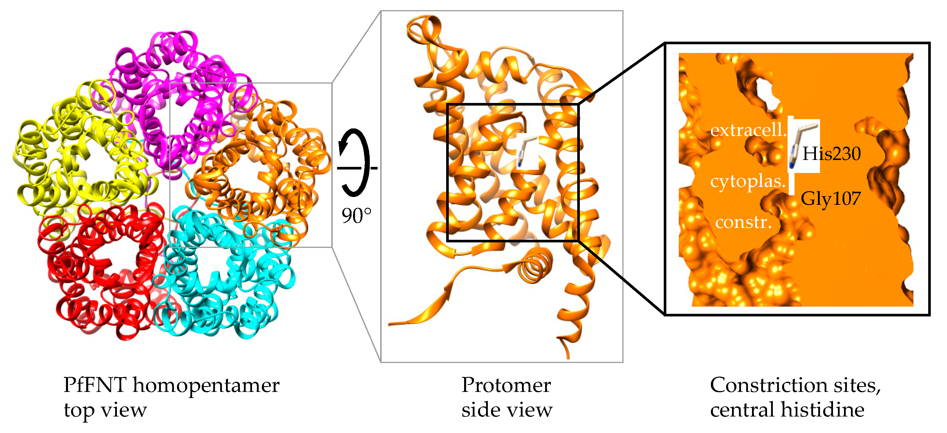 Pharmaceuticals 14 01191 g002