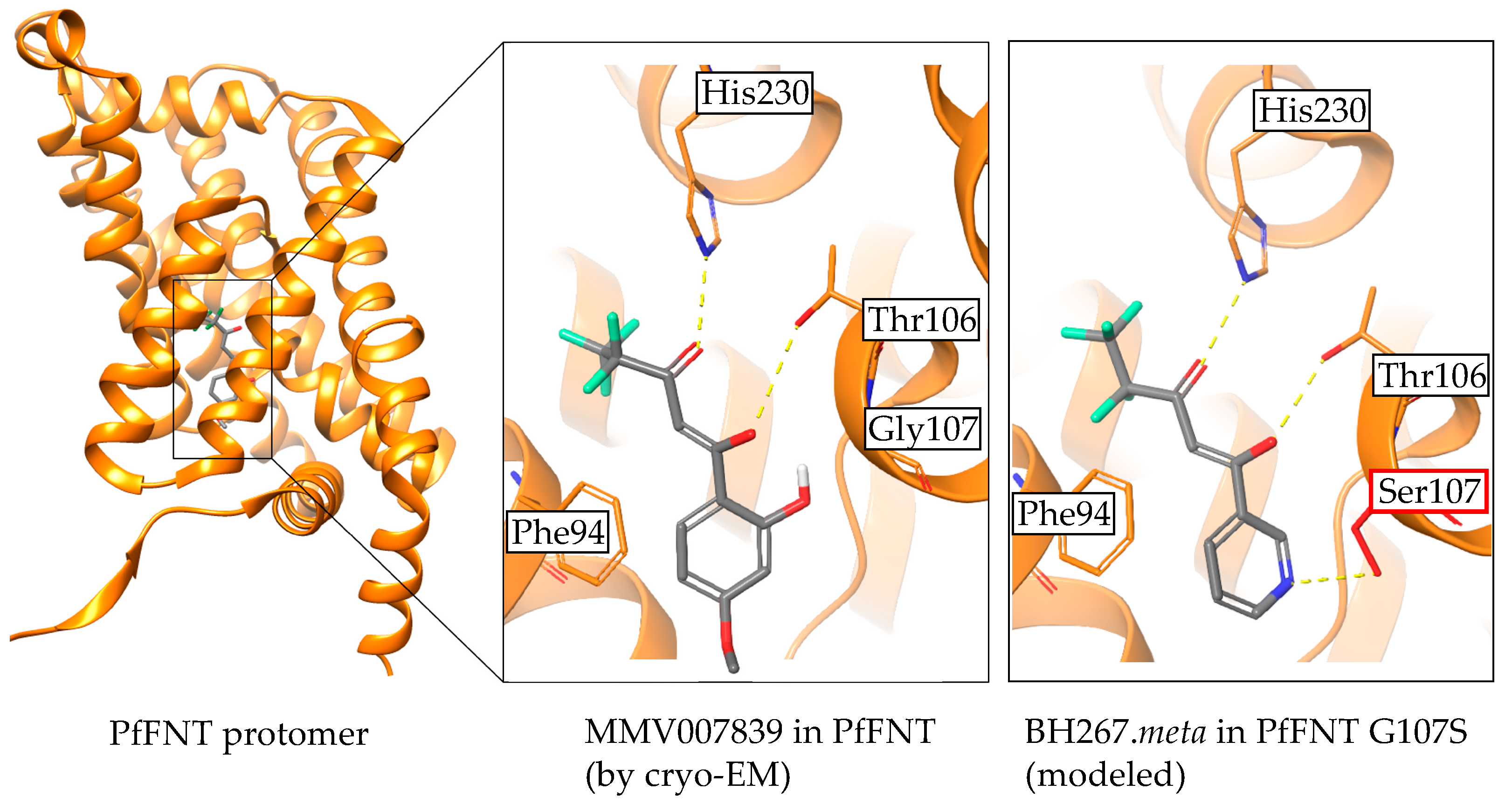 Pharmaceuticals 14 01191 g007