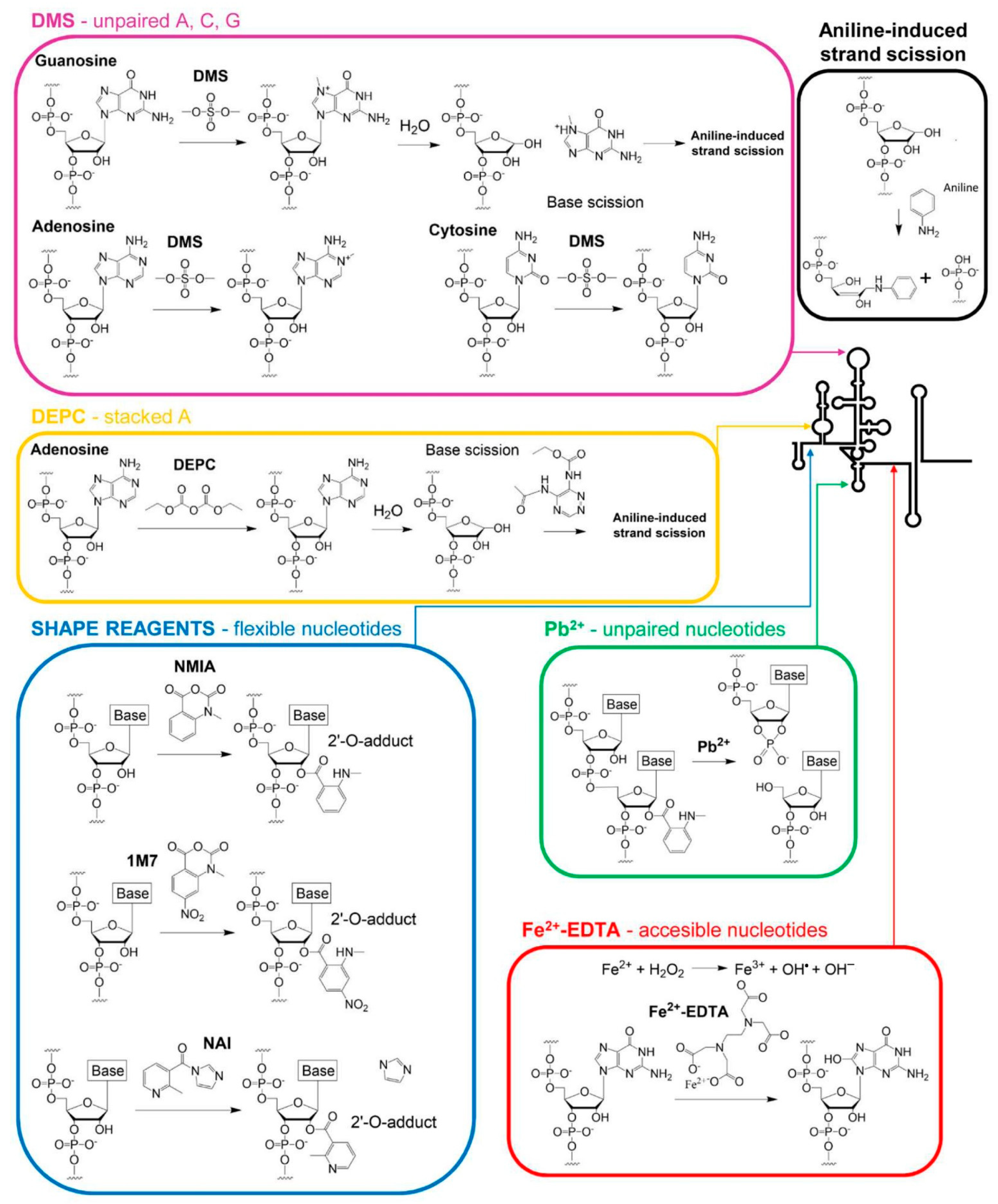 Pharmaceuticals 14 01192 g001